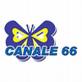 canale 66